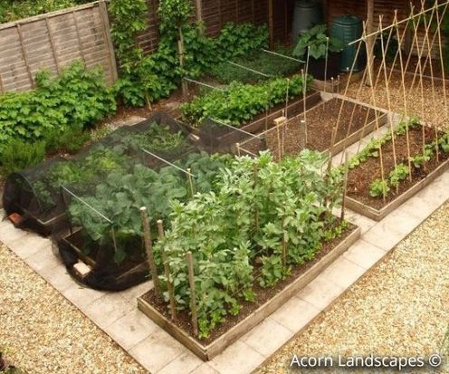 Vegetable Plots