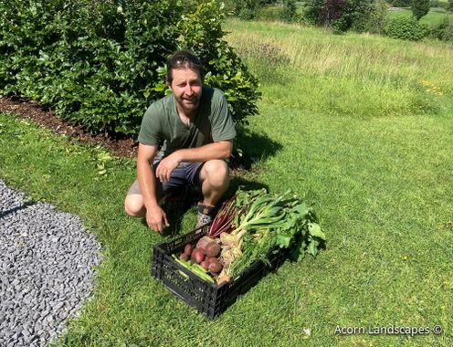 Acorn Landscapes