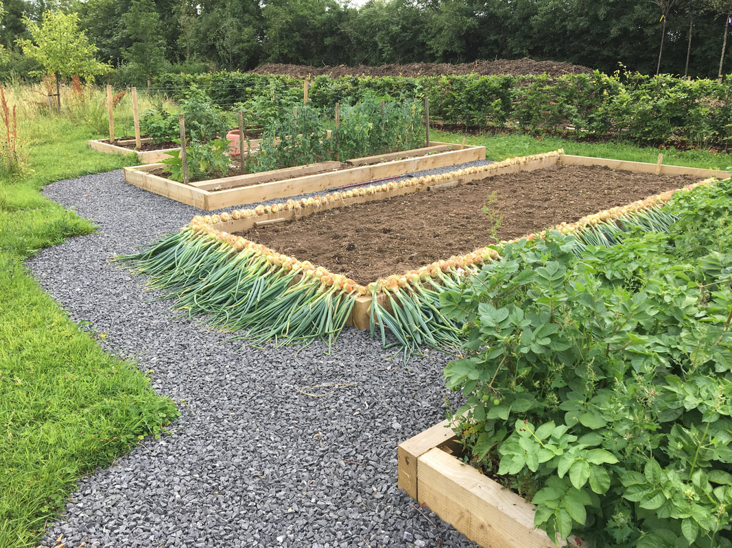 Vegetable Plots