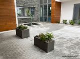 Acorn Landscapes 