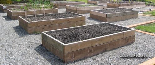 Vegetable Plots