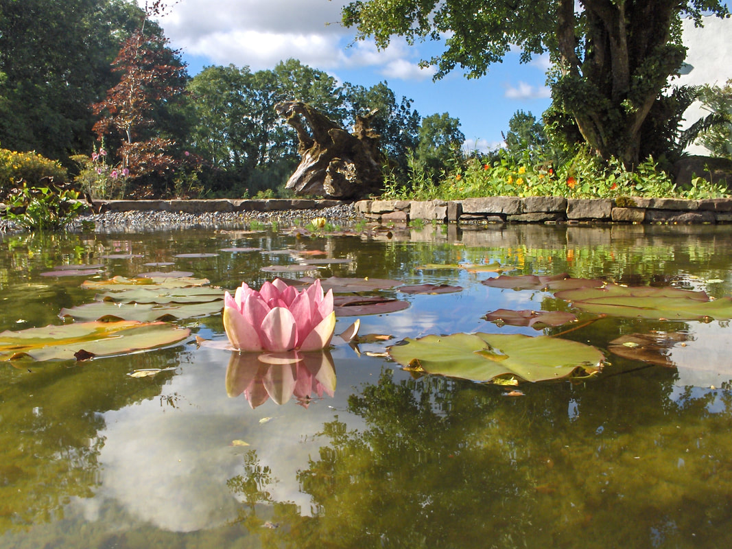 Acorn Landscapes